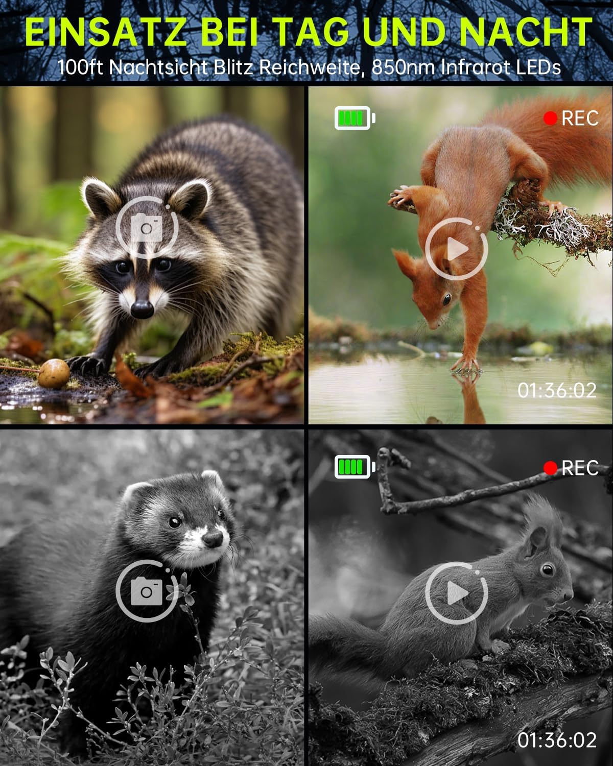 Wildtierkamera 4K Wildkamera 64MP mit Solarpanel, 130°, mit 64G SD Speicherkarte, Wi-Fi